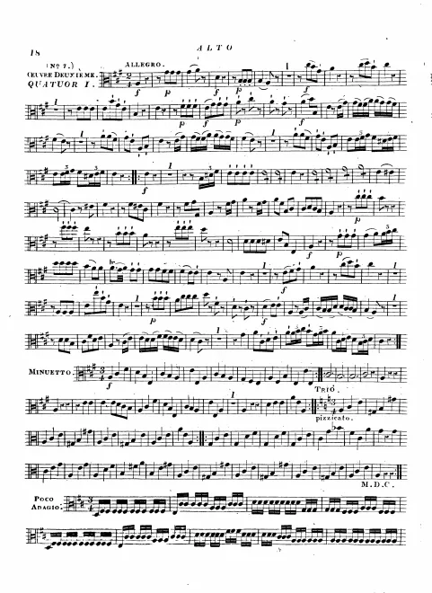 Viola