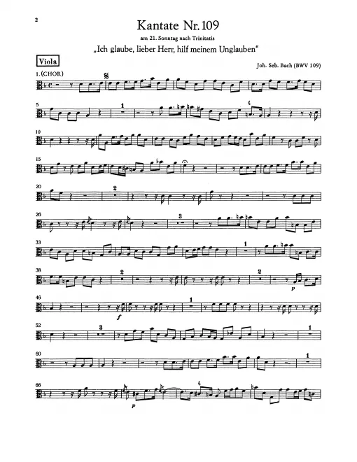 Violas