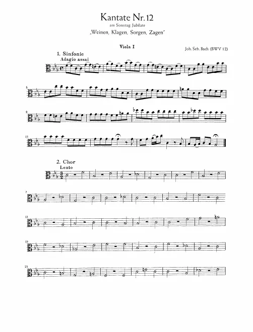 Violas I