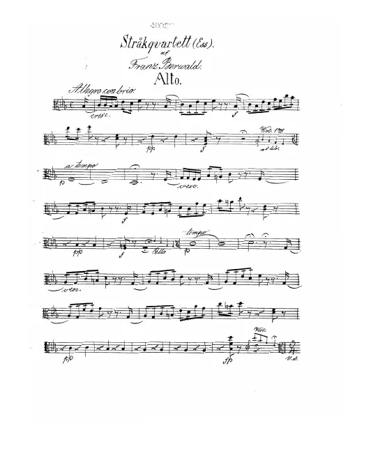 Viola