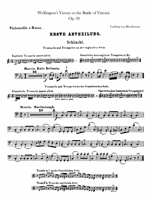 Cellos / Basses