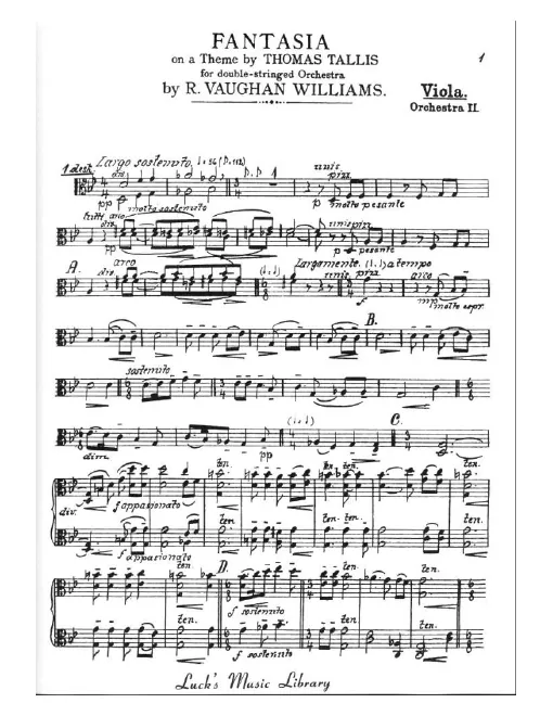 Violas