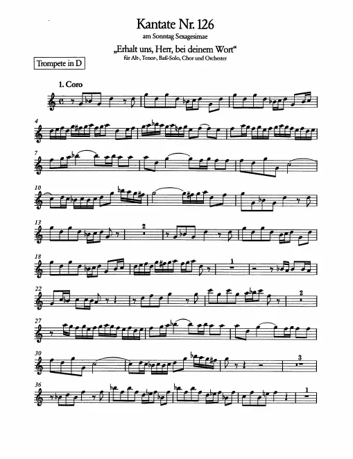 Trumpet (D)