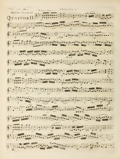 Violin 2