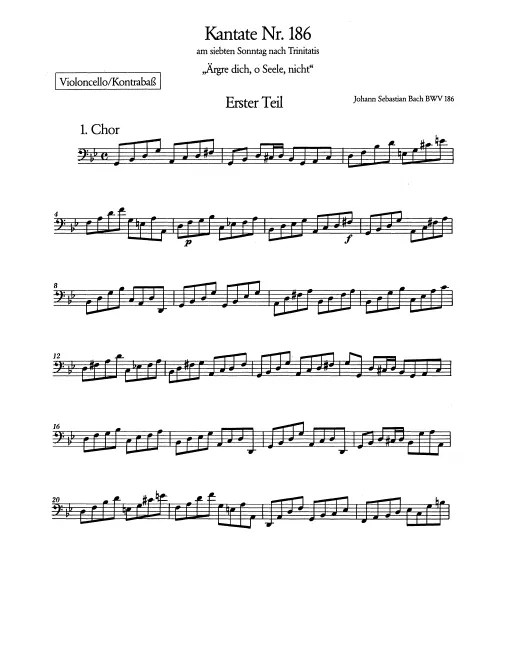 Cellos/Basses
