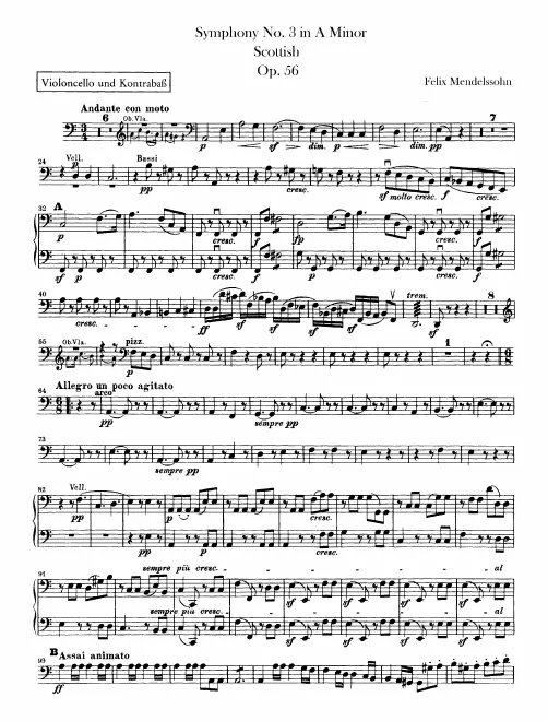 Cellos/Basses