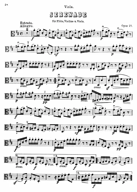 Viola