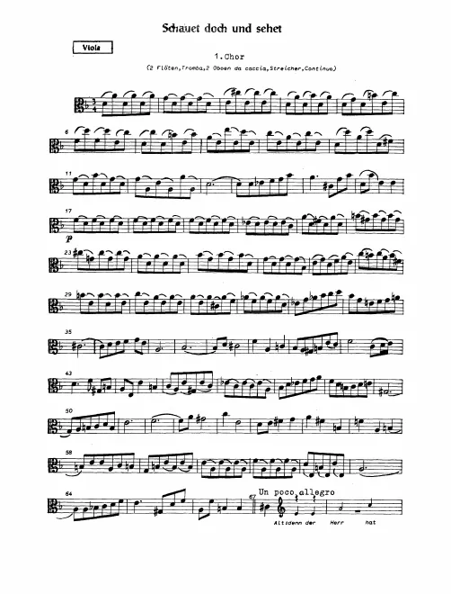 Violas