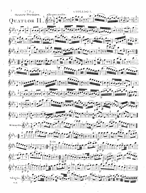 Violin 1