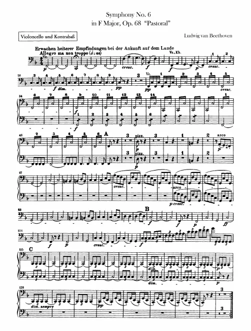 Cellos / Basses
