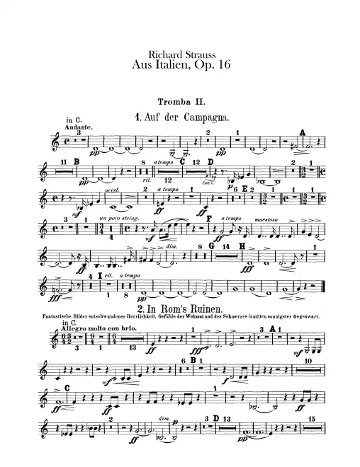 Trumpet 2 (C/D)