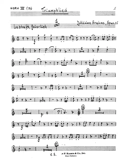 Horn 3 (D)