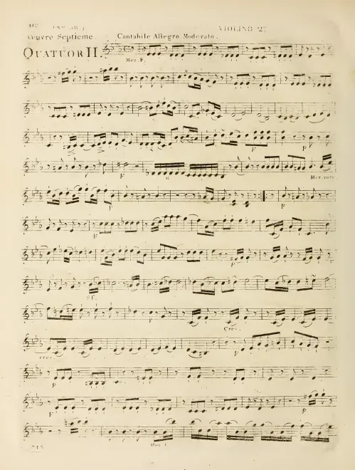 Violin 2