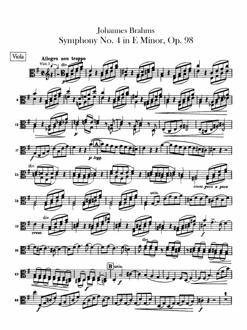 Violas