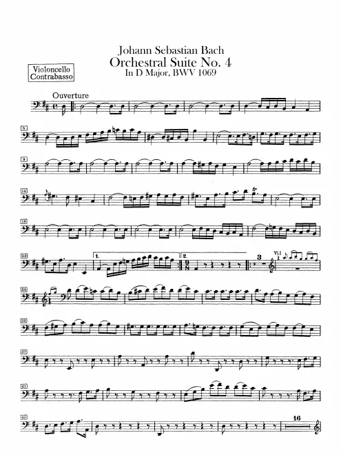 Cellos/Basses