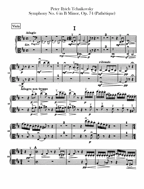 Violas