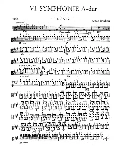 Violas