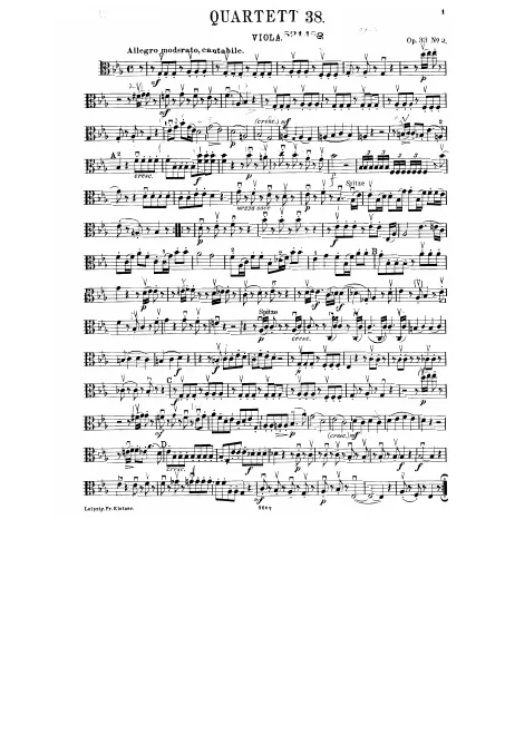 Viola