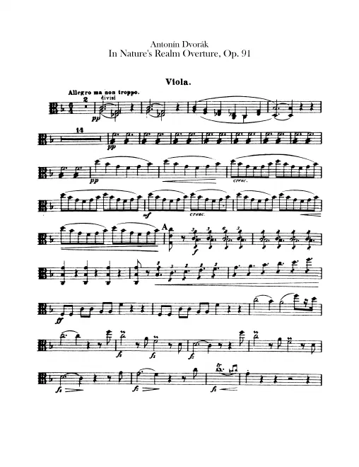 Violas
