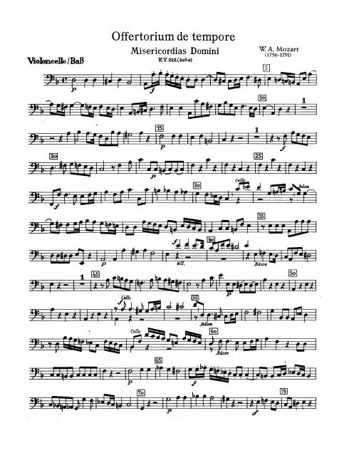 Cellos/Basses