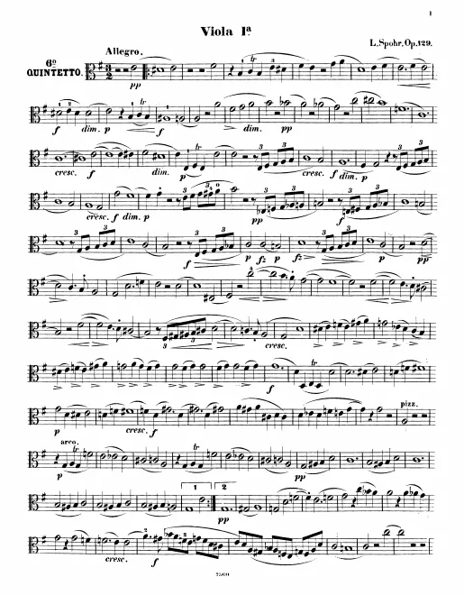Viola 1