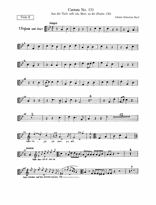 Violas II