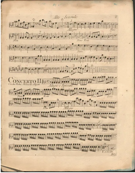 Violas II