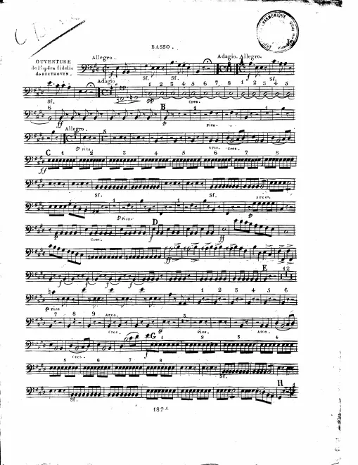 Cellos/Basses