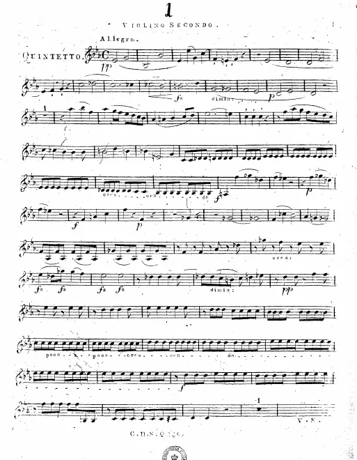 Violin 2