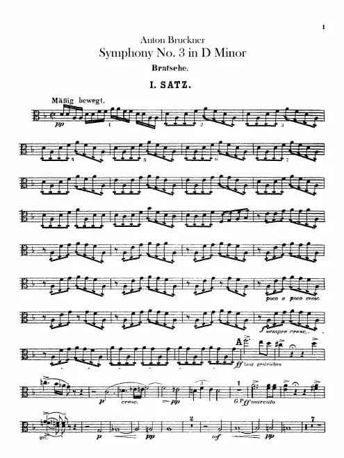Violas
