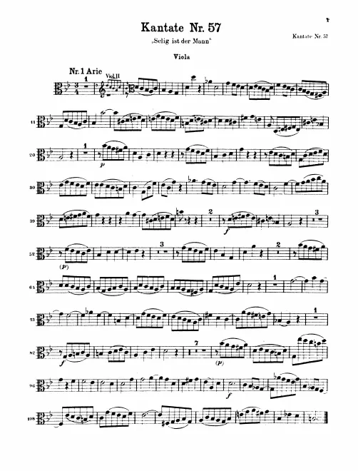 Violas