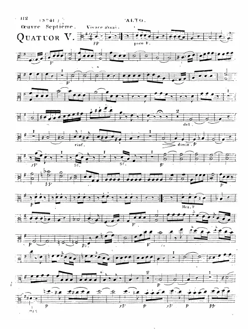 Viola