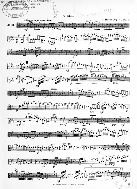 Viola