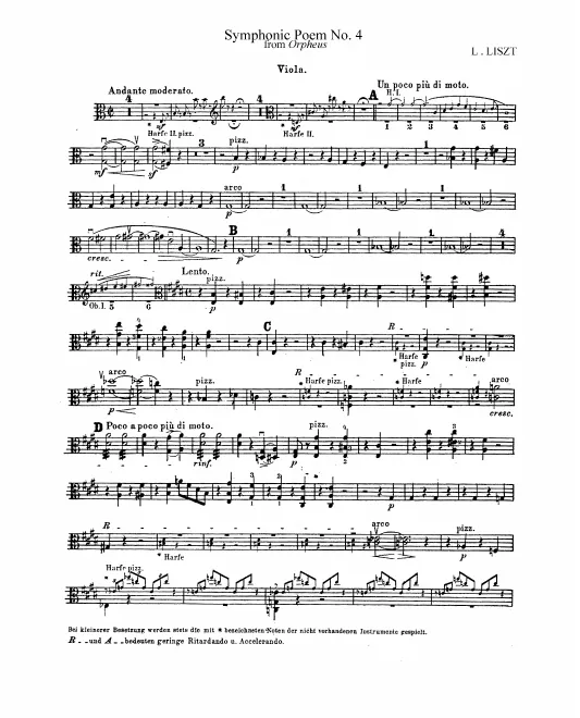 Violas