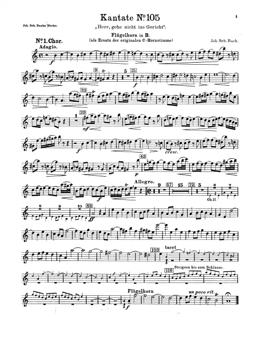 Flugelhorn (B)