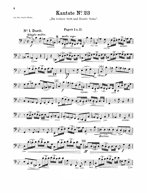 Bassoon 1/2