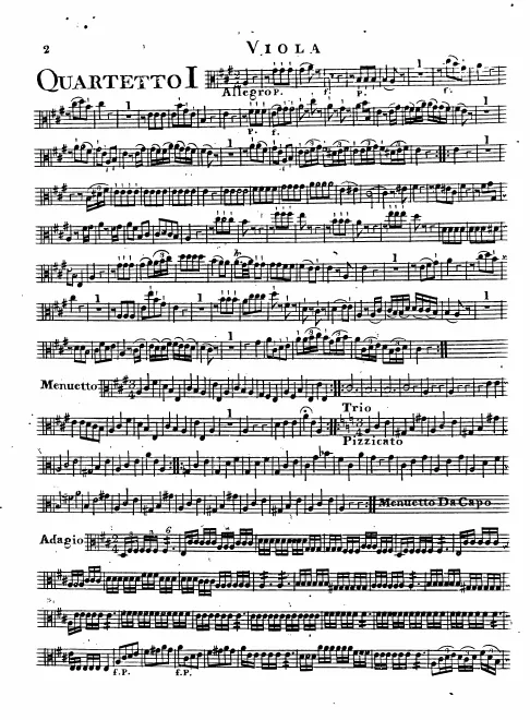 Viola