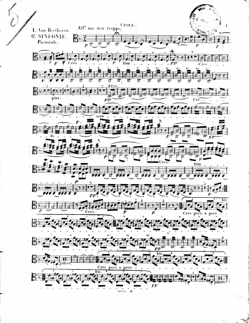 Violas