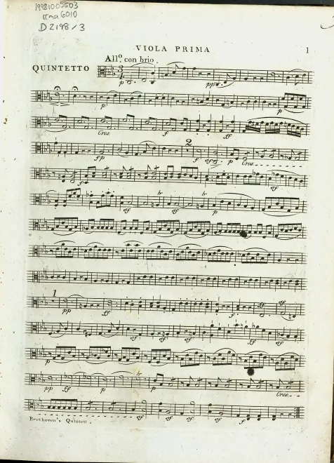 Viola 1