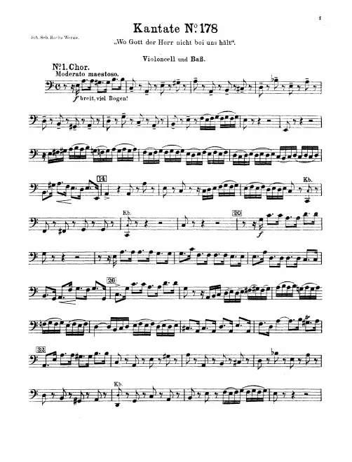 Cellos/Basses