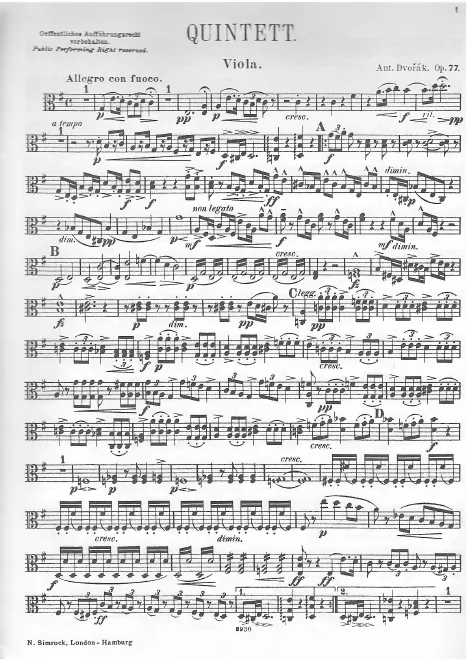 Viola