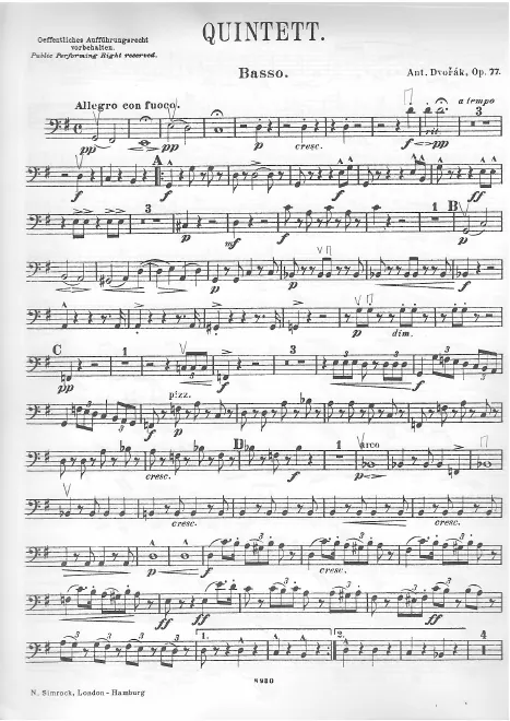 Double Bass