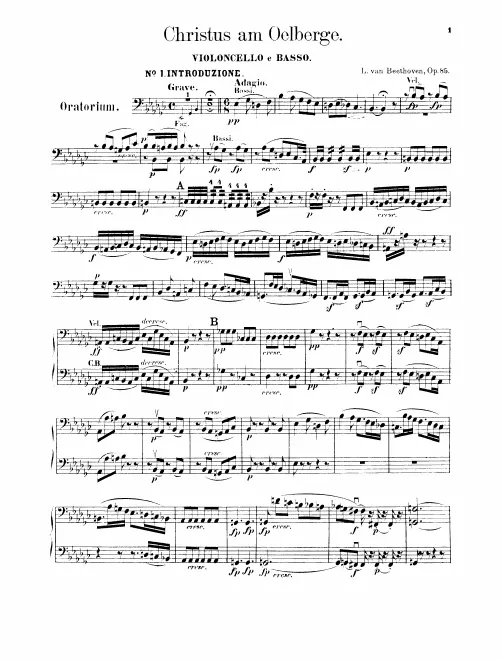 Cellos/Basses