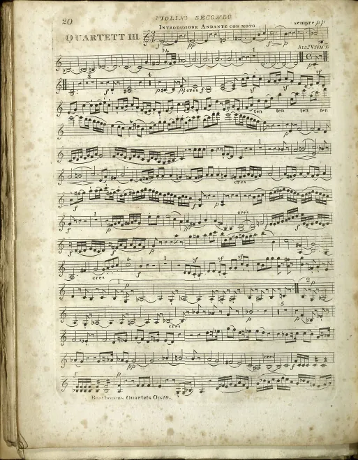 Violin 2