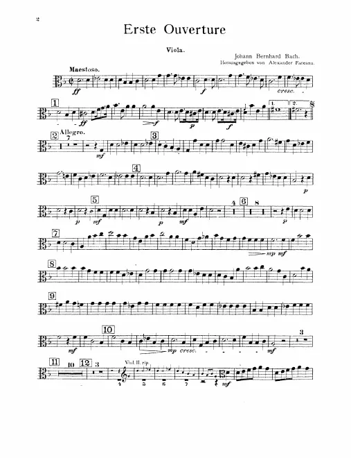 Violas