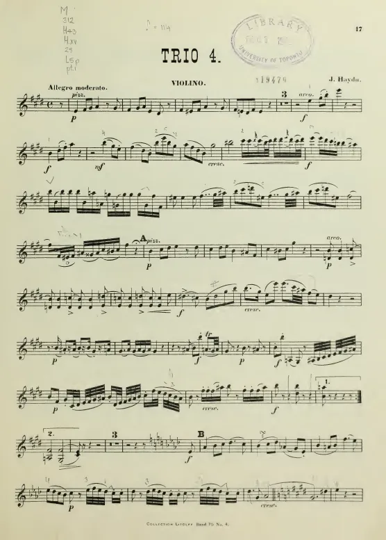 Violin