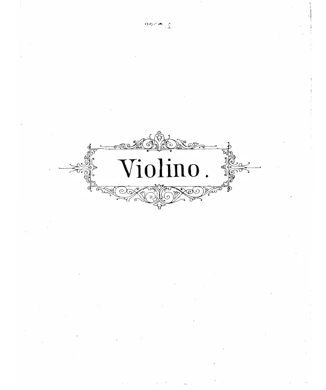 Violin