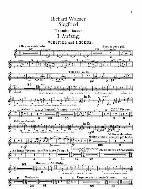 Bass Trumpet (C/D/E)