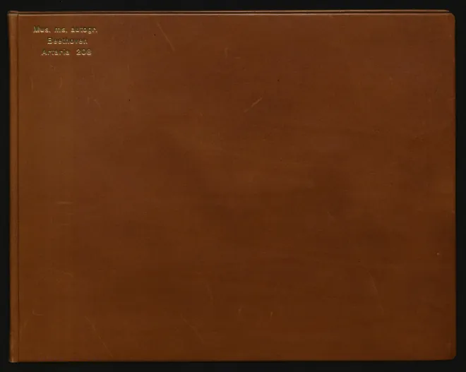 5. Cavatina. Adagio molto espressivo