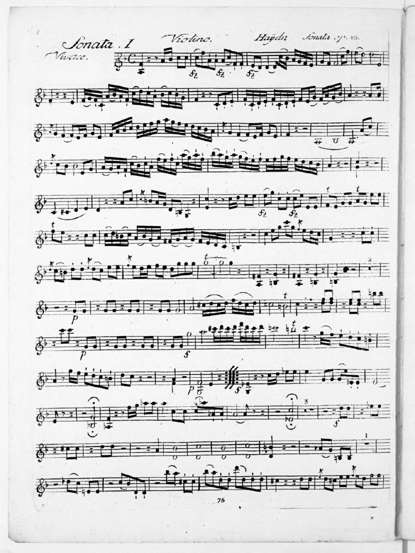 Violin
